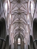 unique star vault ceiling of St. Nicolai Lutheran church, germany, LÃ¼neburg