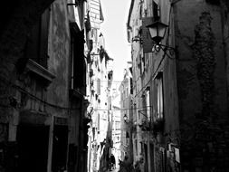 black and white photo of a narrow street with houses