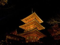 roof of buddhist temple at night, Japan, kyoto