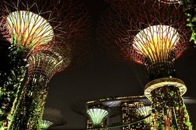 Huge street lamps in Singapore