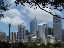 cityscape with skyscrapers, australia, sydney