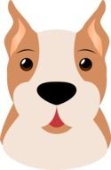 boxer dog head, illustration