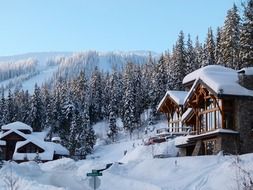 Beautiful sunny winter in British Columbia