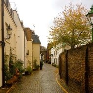 old street with cobblestone pavement and potted plants at facades, uk, england, london