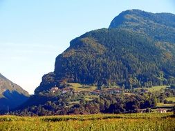 village on forested mountain side, scenic landscape, italy, favrio