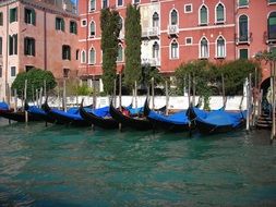 blue covered gondolas parked in row at embankment, italy, venice