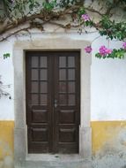 vine with flowers on a wall and old brown door