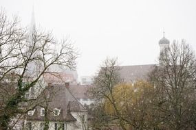 landscape of the trees and houses at winter