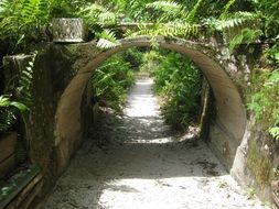 walk path under old overgrown stone arch