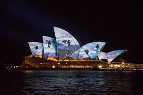 colorful light show on opera house, australia, sydney