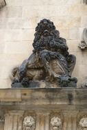 stone lion statue in dresden castle