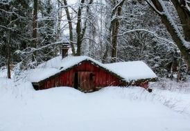 snowed in wooden hut at forest, finland