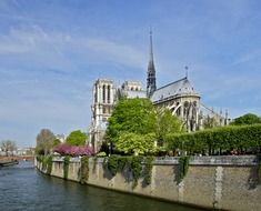 notre dame cathedral on seine river embankment at summer, france, paris