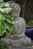 grey stone buddha sculpture among plants