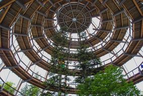 spiral staircase under glass dome above green tree tops