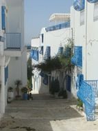 Blue and white houses in Tunisia