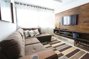 apartment living room brown colors