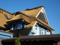 reed roof with windows, germany, darss