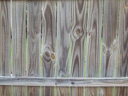 surface of weathered wooden fence