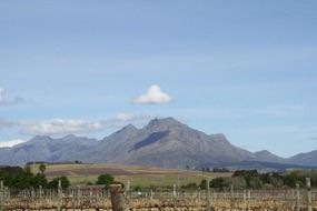 vineyards in countryside at mountains, south africa, cape town