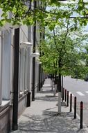 trees on fenced sidewalk, russia, moscow