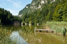 scenic summer landscape with wooden pier on calm water at mountain, austria