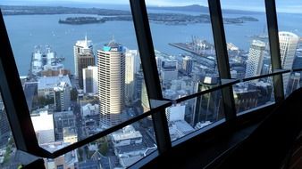 view of city on harbour from sky tower, new zealand, auckland