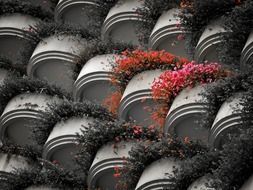 red potted flowers on grey wall on illustration