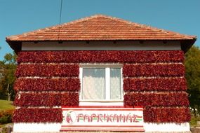 red pepper drying on wall of village house, hungary