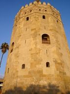 Torre del Oro, tower of gold, low angle view, spain, seville