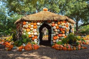 scenic pumpkins house in arboretum, usa, texas, dallas