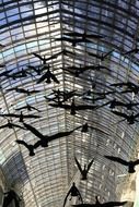 glass roof mall birds canada toronto