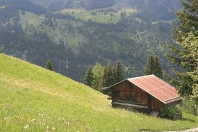 summer alpine landscape with cottage at hillside