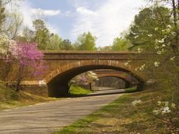 colonial parkway under bridge at spring, usa, virginia