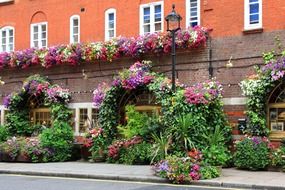 beautiful floral decorations on street and facade of old building
