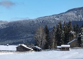 cold and icy winter season with snow