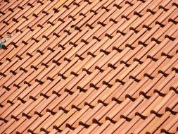 red clay tiles, roofing