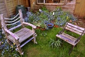 weathered wooden chairs at flower bed