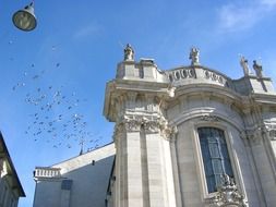 pigeons in sky above cathedral, germany, eichstatt