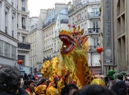 chinese new year in paris france