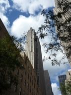 bottom view of the New York skyscraper