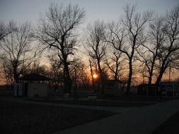 bare trees at sunset sky