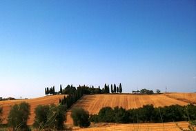 golden fields under blue sky, scenic countryside, italy, tuscany