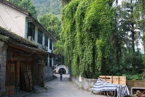 street of thd ancient town xingping