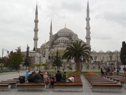 people resting on benches at blue mosque, turkey, istanbul