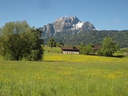 village house on meadow at pilatus mountain, switzerland, lucerne