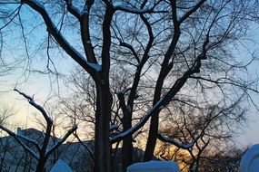 beautiful sunset at cold snowy winter, japan, hokkaido, sapporo