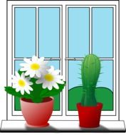 potted cactus and flowers on windowsill, illustration