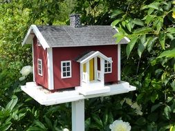 cute bird house in garden