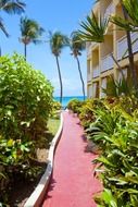 walk path in garden along building on tropical resort